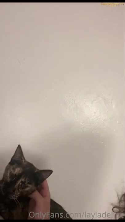 Layladeline onlyfans leak – Hardcore fucking at the morning