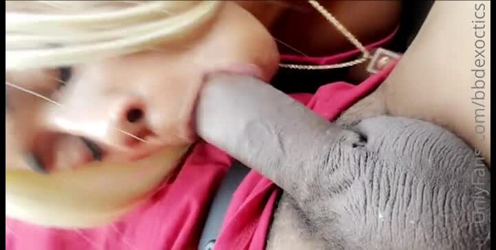 Pinkydoll onlyfans leak – Sucking BF big dick while Driving