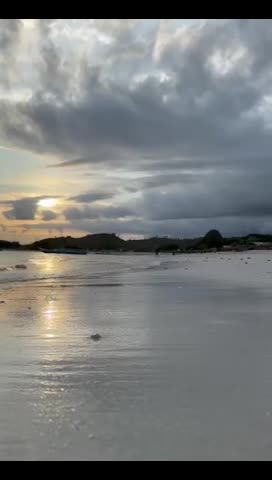 Monalita nude – Sexy bikini on the beach / Of leaked video