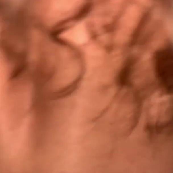 Dani Day Nude Fucking Stranger On Vacation Video Leaked