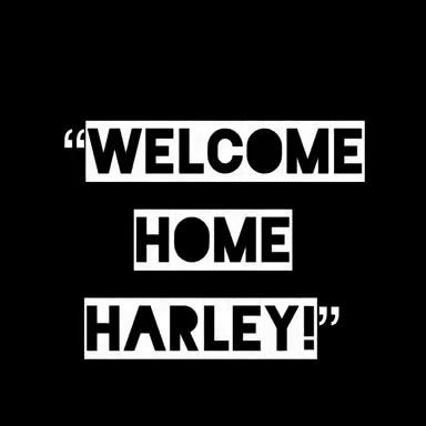 Harley Quinn Elizabeth Rage Porn Dildo Sucking Video Leaked