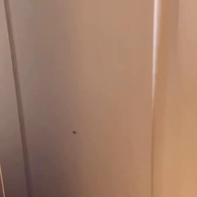 Belle Delphine Naked Pizza Delivery Girl Video