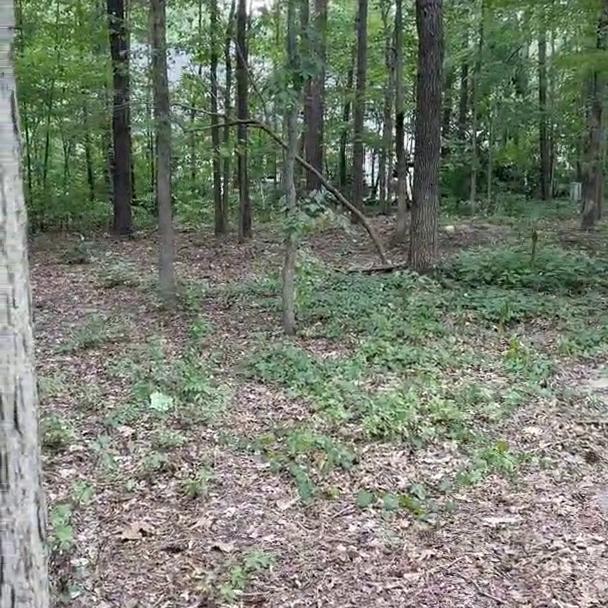 SooGSX Forest Blowjob And Facial Video Leaked