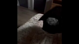 Emily Rinaudo Cowgirl Butt Plug New Sextape Video Leaked