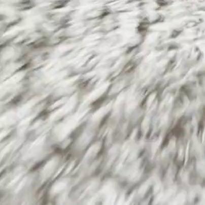 Jakara Mitchell Sex Tape Video Leaked