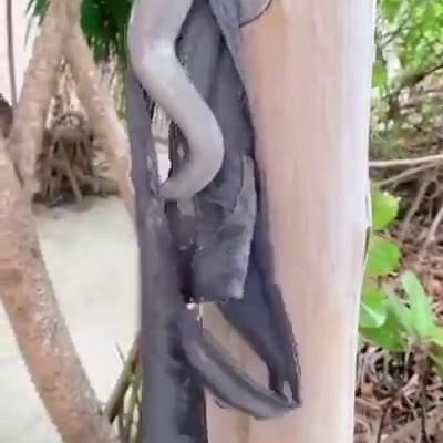 Amanda Cerny Nude Outdoor Shower Leaked Video